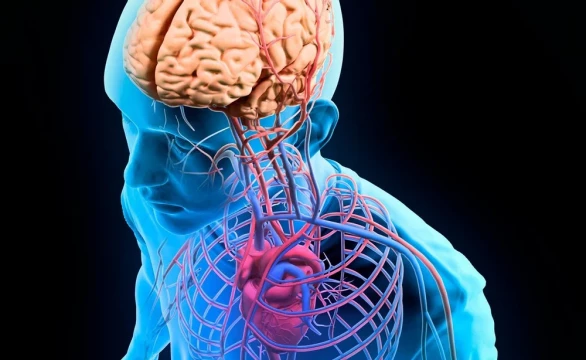 Meditații BIOLOGIE online - XI-XII - Bacalaureat